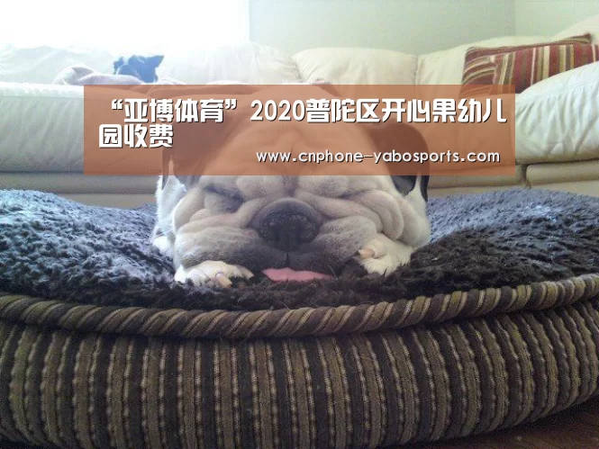 “亚博体育”2020普陀区开心果幼儿园收费(图1) 亚博体育官网