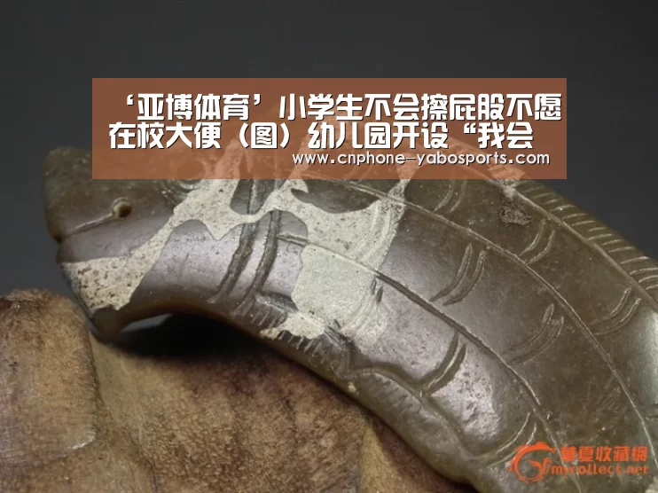 ‘亚博体育’小学生不会擦屁股不愿在校大便(图)幼儿园开设“我会自己擦屁屁”课程(图1) 亚博体育