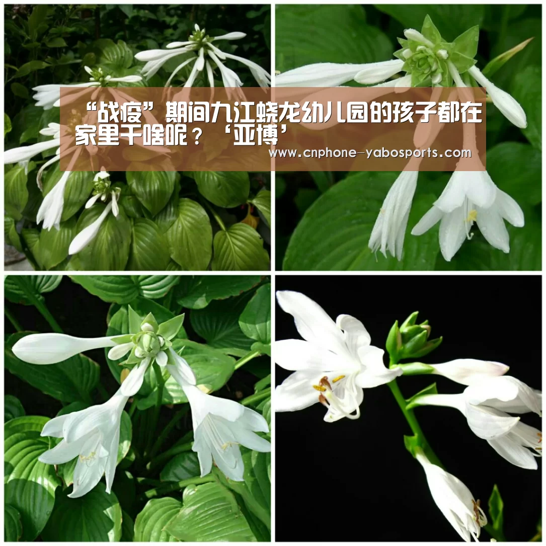 “战疫”期间九江蛟龙幼儿园的孩子都在家里干啥呢?‘亚博’(图1) 亚博体育官网